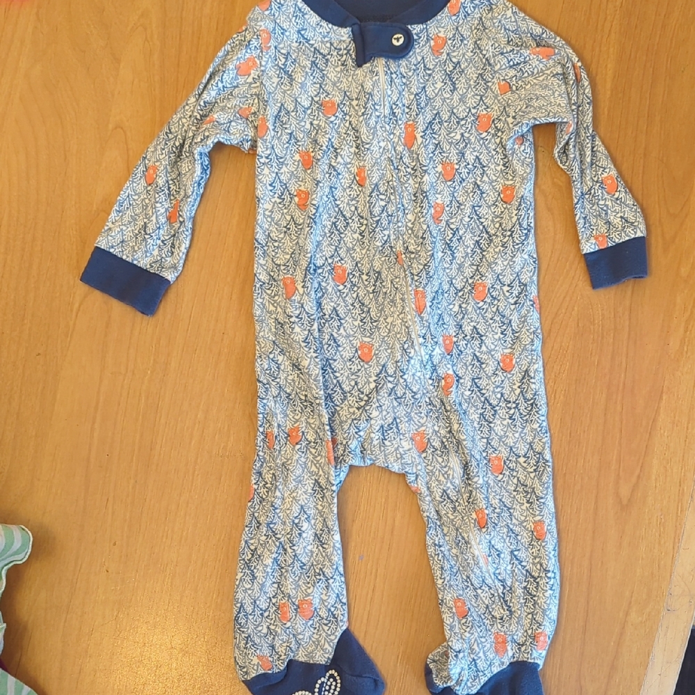 Burt's Bees Baby Blue Footie